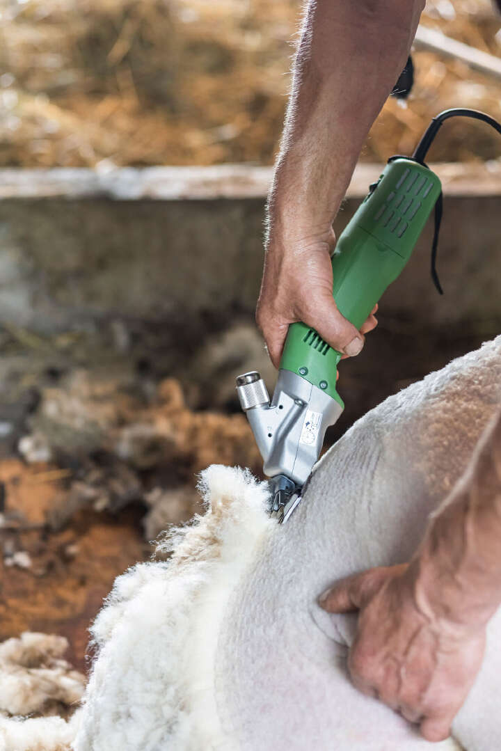 KERBL Schafschermaschine constanta4